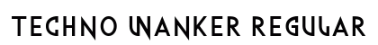Techno Wanker Regular preview