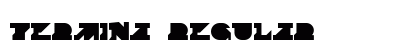 Termina Regular font free download