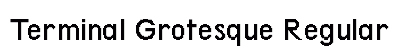 Terminal Grotesque Regular font free download