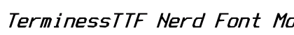 TerminessTTF Nerd Font Mono Bold Italic preview TerminessTTF Nerd Font Mono Bold Italic preview