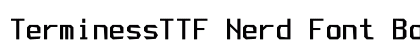 TerminessTTF Nerd Font Bold font free download