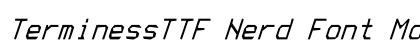 TerminessTTF Nerd Font Mono Italic font free download