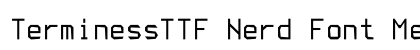 TerminessTTF Nerd Font Medium font free download