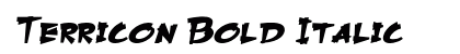 Terricon Bold Italic Preview