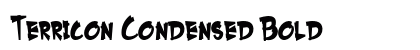 Terricon Condensed Bold Preview