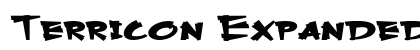 Terricon Expanded Bold font free download