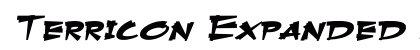 Terricon Expanded Italic Preview