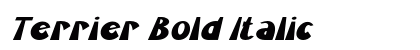Terrier Bold Italic font free download