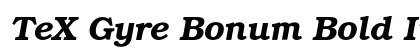 TeX Gyre Bonum Bold Italic font free download
