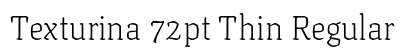 Texturina 72pt Thin Regular font free download