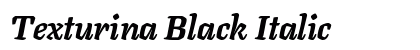 Texturina Black Italic preview