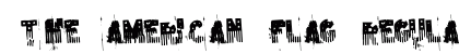the american flag Regular Font Preview