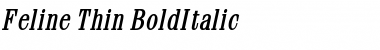 Feline Thin BoldItalic Font