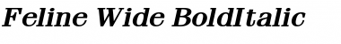 Feline Wide BoldItalic Font