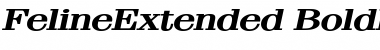 FelineExtended BoldItalic Font