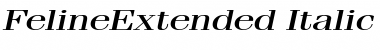 FelineExtended Italic