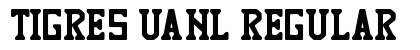 TIGRES UANL Regular Font Preview
