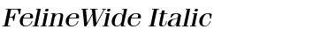 FelineWide Italic