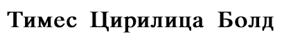 Times Cirilica Bold font free download