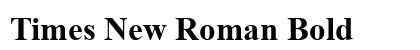 Times New Roman Bold Preview