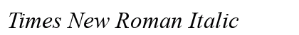 Times New Roman Italic font free download