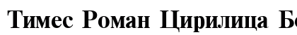 Times Roman Cirilica Bold Preview