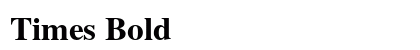 Times Bold Preview
