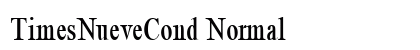 TimesNueveCond Normal Preview