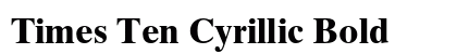 Times Ten Cyrillic Bold Preview