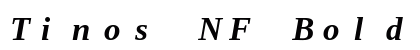 Tinos NF Bold Italic Preview