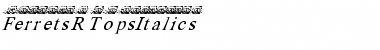 Download FerretsRTopsItalics Font