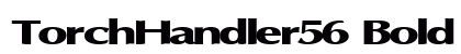 TorchHandler56 Bold Preview