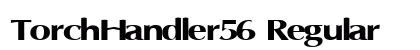 TorchHandler56 Regular Preview