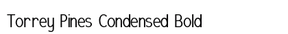 Torrey Pines Condensed Bold font free download