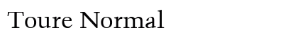 Toure Normal Preview
