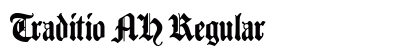 Traditio AH Regular Font Preview