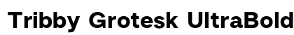 Tribby Grotesk UltraBold Regular font free download