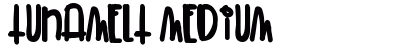 TunaMelt Medium font free download