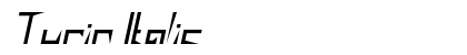 Turin Italic Preview
