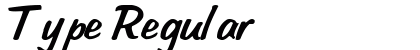 Type Regular font free download