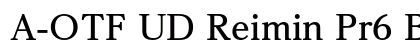 A-OTF UD Reimin Pr6 B font free download