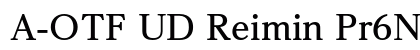 A-OTF UD Reimin Pr6N B Preview