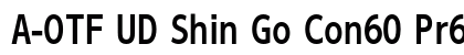 A-OTF UD Shin Go Con60 Pr6 DB font free download