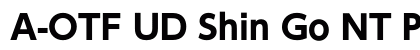 A-OTF UD Shin Go NT Pr6 B font free download