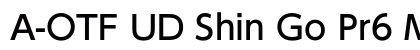 A-OTF UD Shin Go Pr6 M font free download