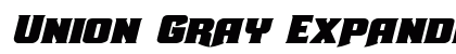Union Gray Expanded Italic Expanded Italic font free download