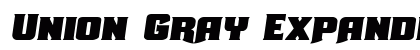 Union Gray Expanded Semi-Italic Expanded Semi-Italic
