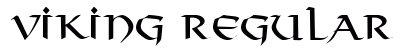 Viking Regular Preview