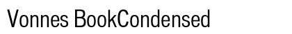 Vonnes BookCondensed Preview
