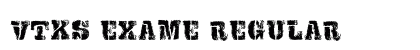 VTKS EXAME Regular preview VTKS EXAME Regular preview